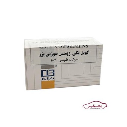 كوئل تكي زيمنس سوزني طوسي1-4 پژو 405 |بتا